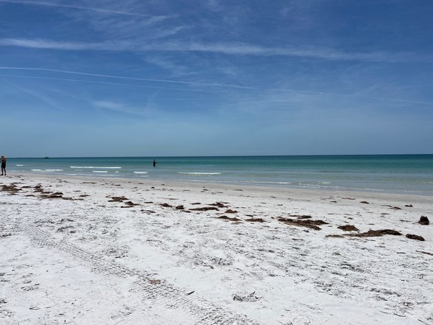 Image for 123 Test Sale