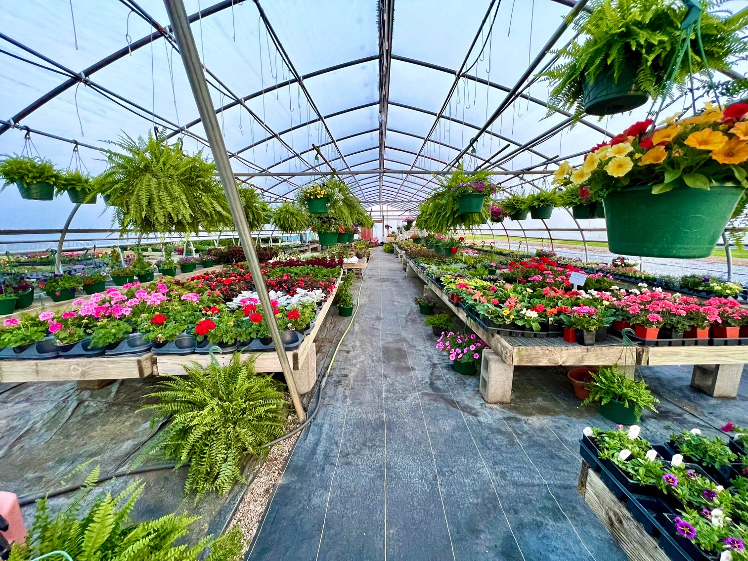 Image for 4969 Cadiz Rd., Princeton, KY AUCTION