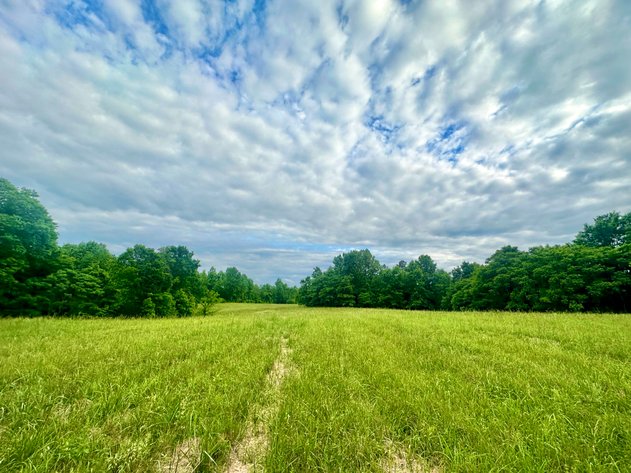 Image for 150+/- Acre Palmyra AUCTION