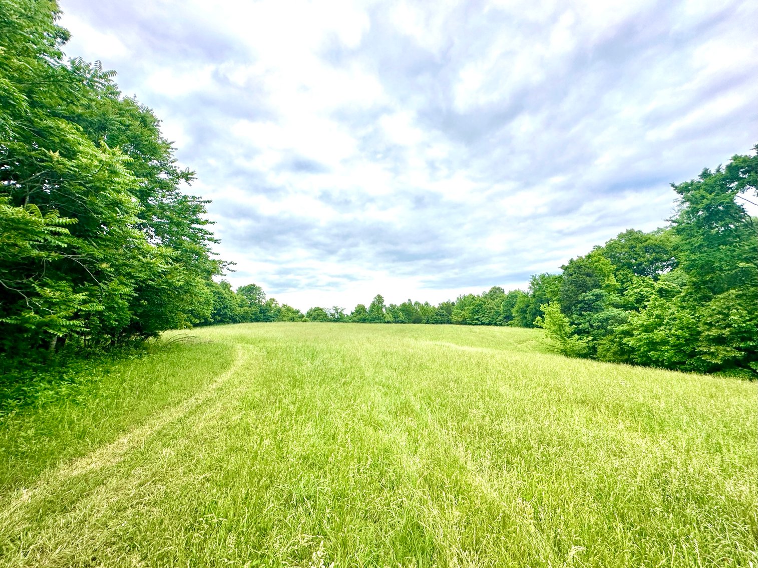 Image for 150+/- Acre Palmyra AUCTION