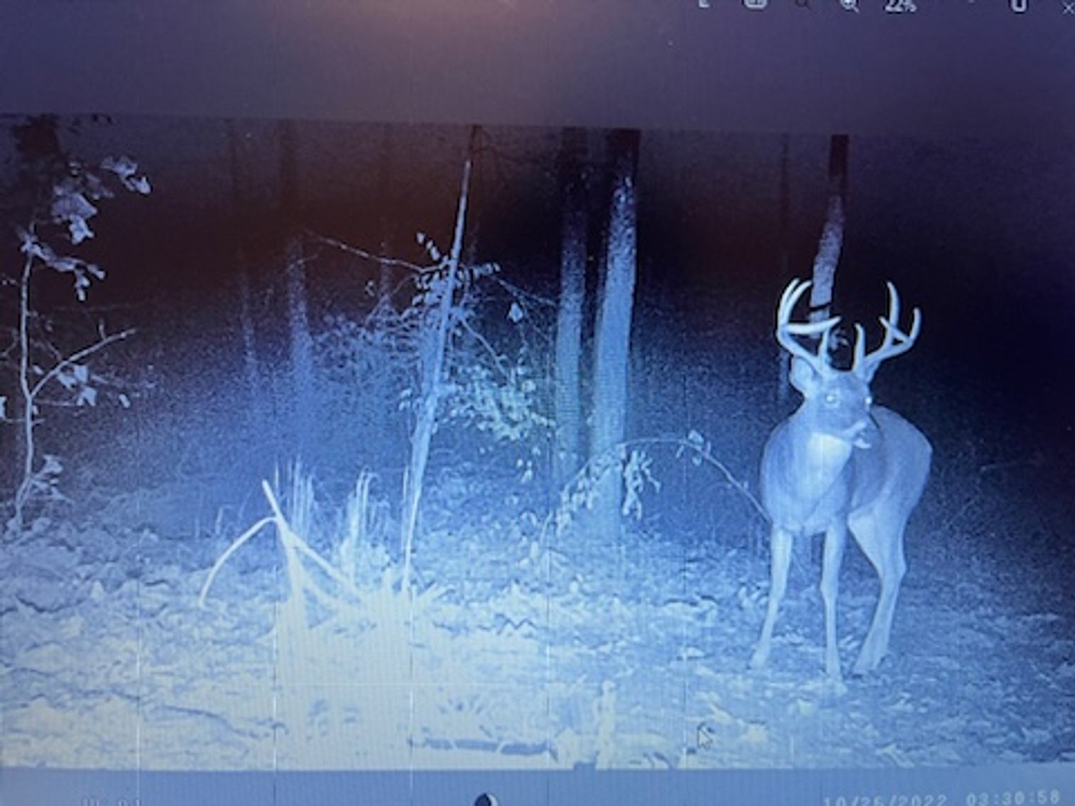 Image for 103 & 80 Luttrell Rd. AUCTION