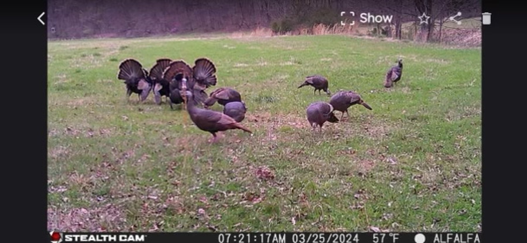 Image for 103 & 80 Luttrell Rd. AUCTION