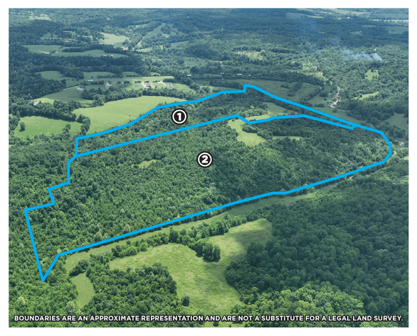 Image for 150+/- Acre Palmyra AUCTION
