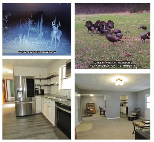 Image for 103 & 80 Luttrell Rd. AUCTION