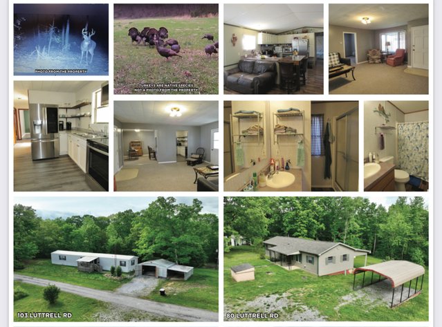 Image for 103 & 80 Luttrell Rd. AUCTION