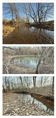 Image for 427.1+/- Acre Farm Auction