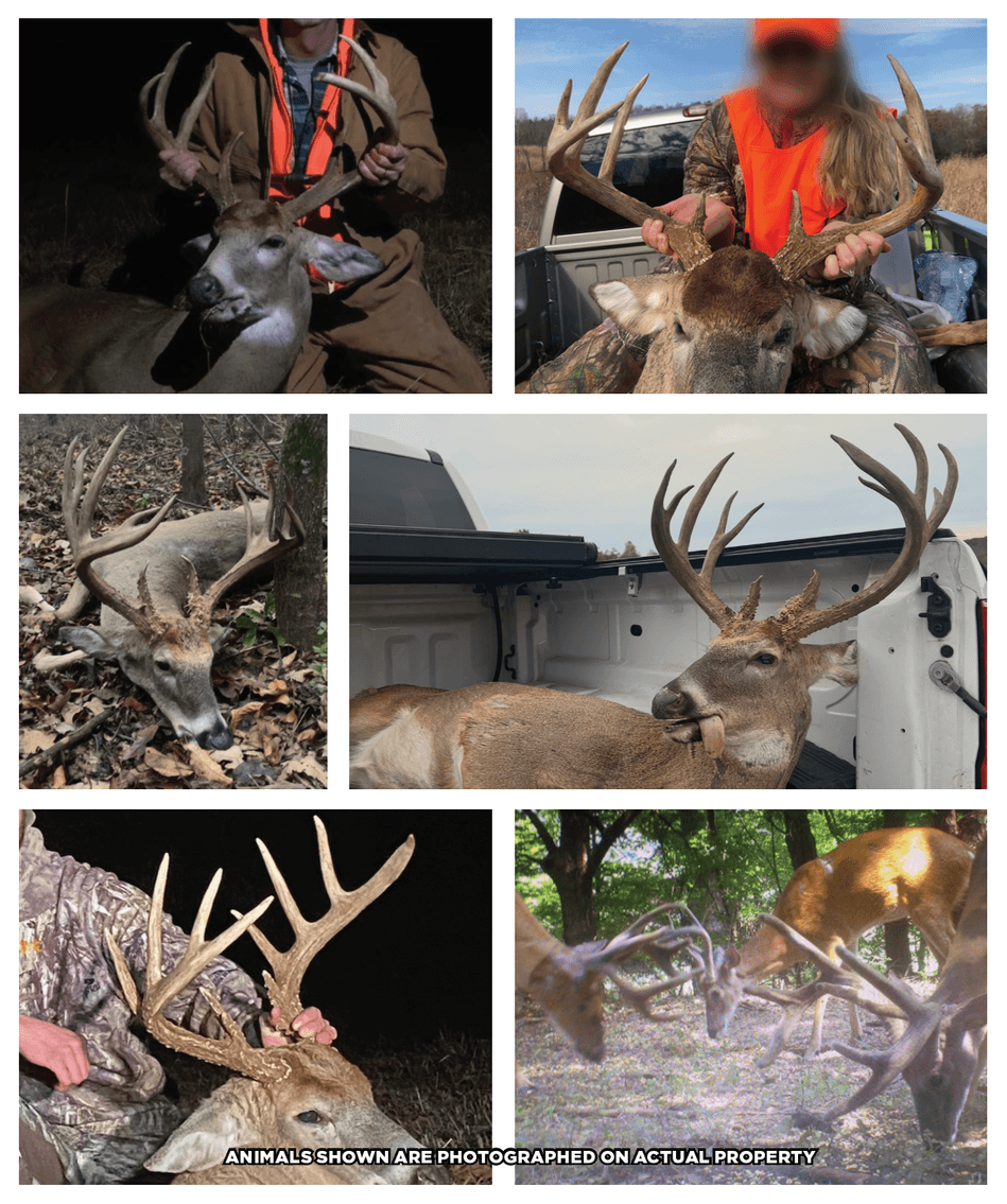 Image for 427.1+/- Acre Farm Auction