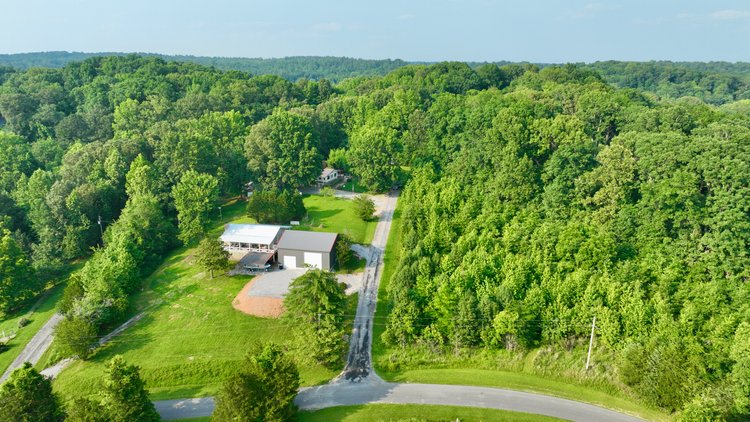 Image for Holly Hill Auction