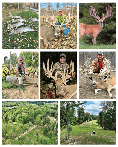 Image for Turnkey Luxury Game Preserve Auction