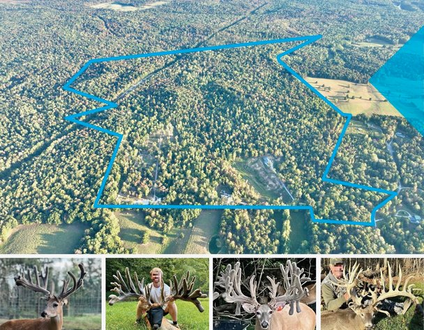 Image for Turnkey Luxury Game Preserve Auction