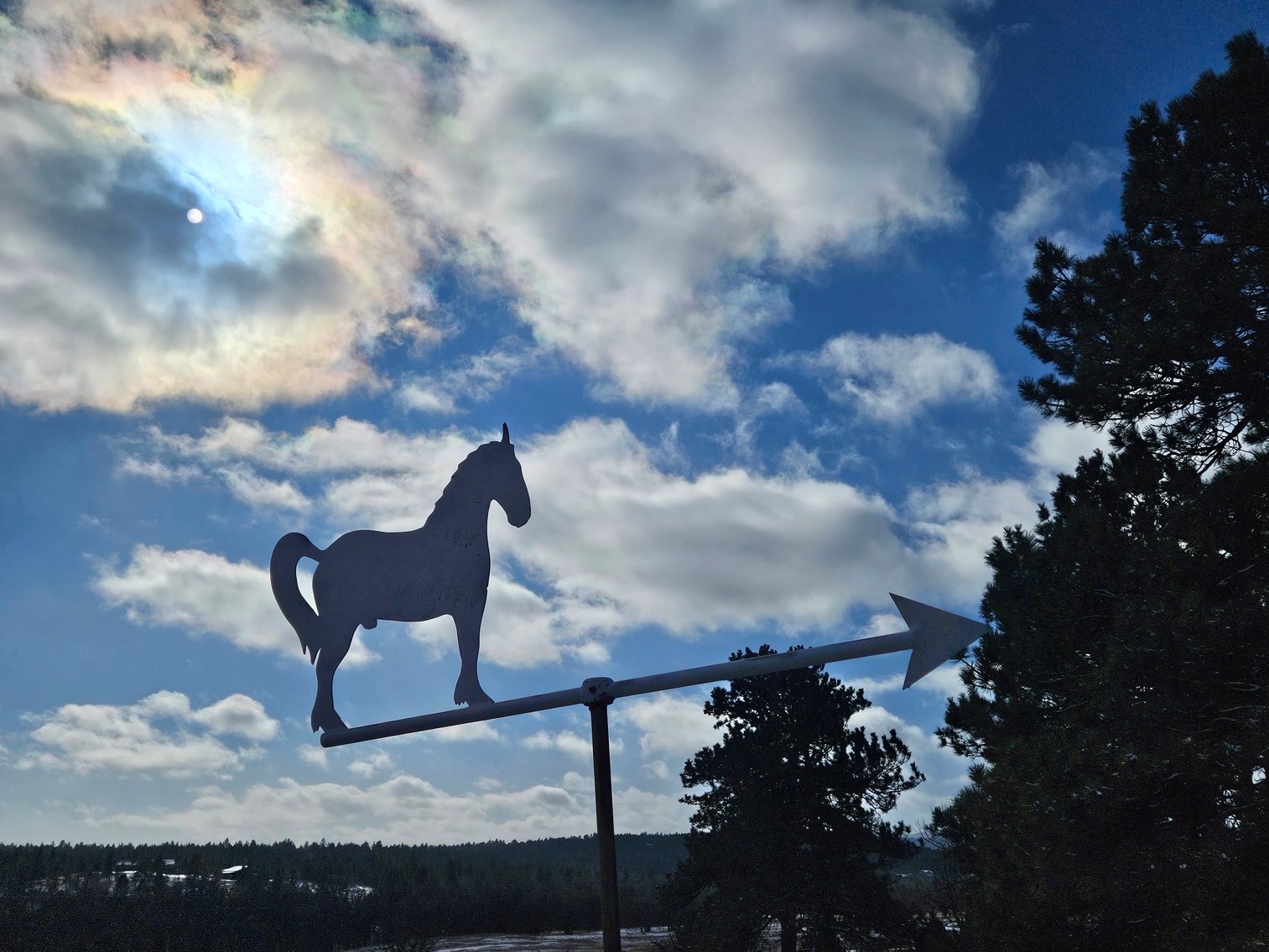 image for print view