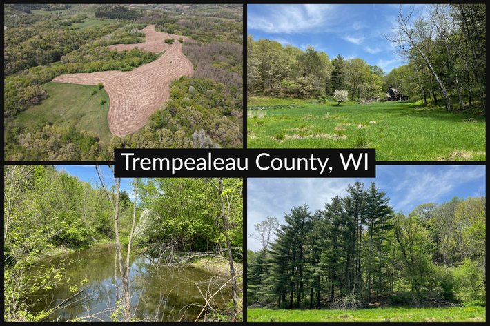 Image for 80± Acres Recreational & Tillable Land Near Arcadia, Ettrick, Blair - Trempealeau County, WI