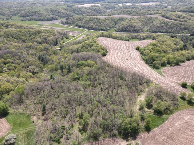 Image for 80± Acres Recreational & Tillable Land Near Arcadia, Ettrick, Blair - Trempealeau County, WI