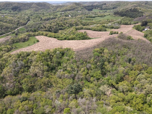 Image for 80± Acres Recreational & Tillable Land Near Arcadia, Ettrick, Blair - Trempealeau County, WI