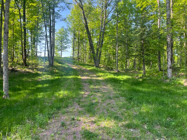 Image for 4 Wooded Vacant Lots Bordering Copper Falls State Park, Near Mellen - Ashland County, WI