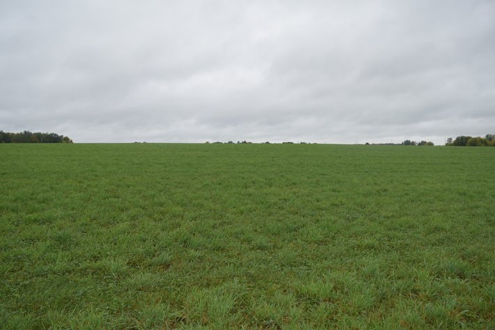 Image for 100± Acres, Tillable & Recreational Land, Frontage on Big Eau Pleine River, Stratford - Marathon County, WI