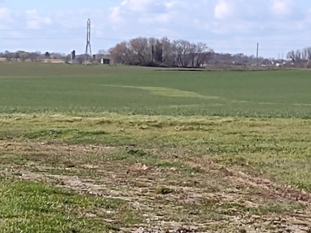 Image for 91± Acres Excellent Tillable and Farm Land Near Belgium - Ozaukee County, WI