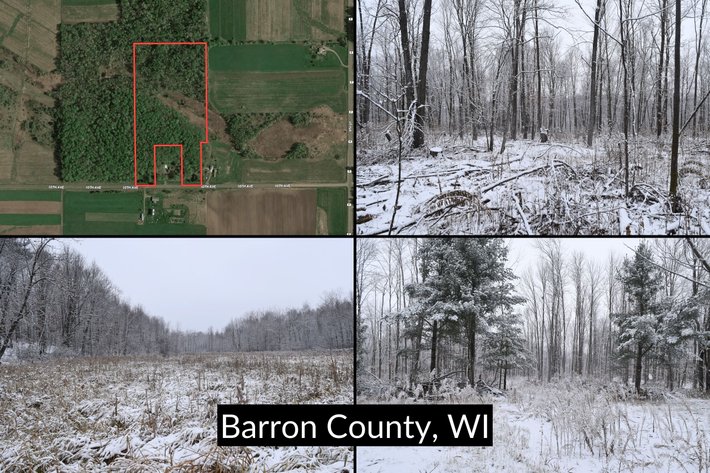 Image for 17.5± Acres Wooded / Recreational Land, Town of Arland - Barron County, WI
