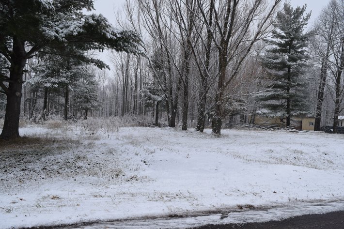 Image for 17.5± Acres Wooded / Recreational Land, Town of Arland - Barron County, WI