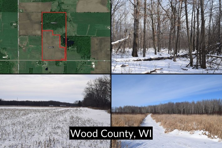 Image for 80± Acres Tillable & Recreational Land Offered in 2 Parcels, Arpin - Wood County, WI
