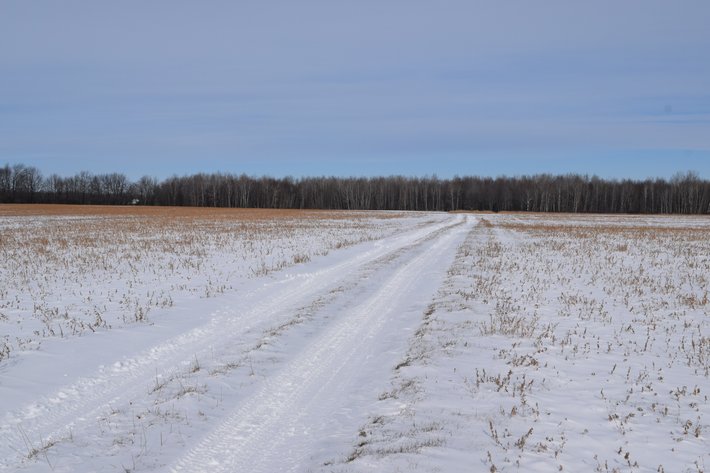 Image for 80± Acres Tillable & Recreational Land Offered in 2 Parcels, Arpin - Wood County, WI