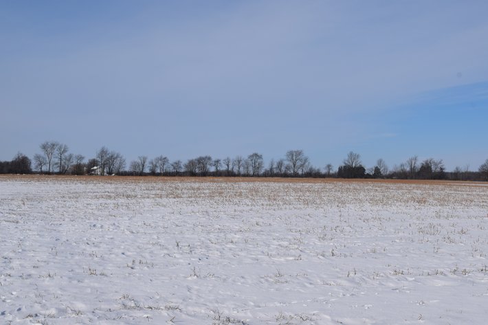 Image for 80± Acres Tillable & Recreational Land Offered in 2 Parcels, Arpin - Wood County, WI