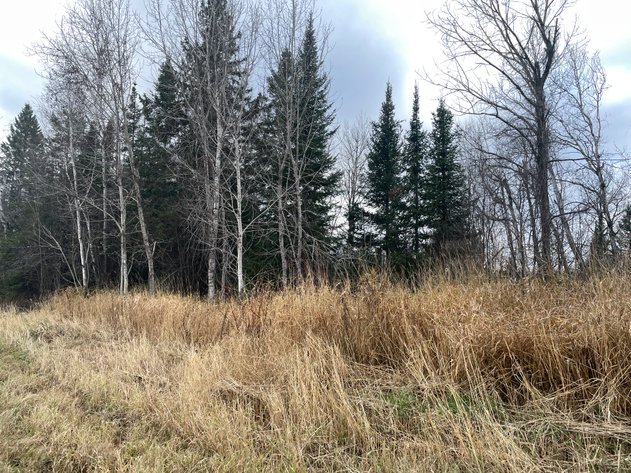Image for 20± Acres Wooded, Recreational Land Just One Mile South of Lake Superior South Shore near Port Wing, Lender Owned - Bayfield County, WI