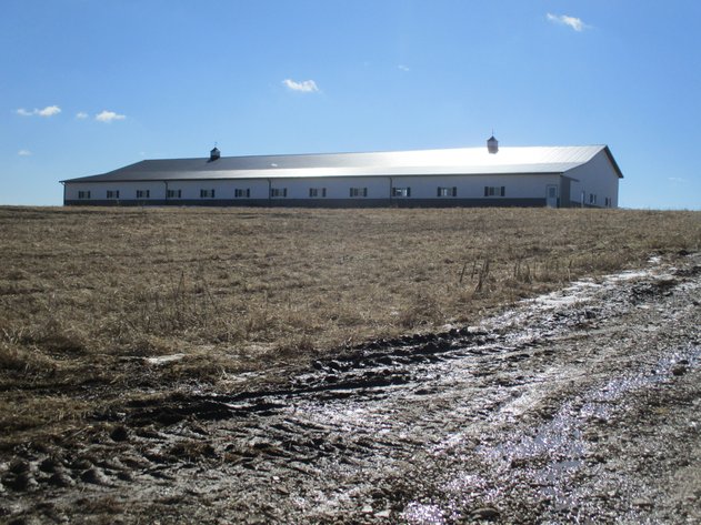 Image for 89± Acres & 208x76 Shed, Offered in 3 Parcels, Excellent Ridge Top Farm Land, Mostly Tillable Near Loganville - Sauk County, WI