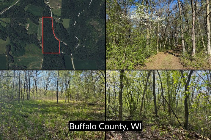 Image for 17± Acres of Prime Hunting Land with Trails, Oaks & Cabin Site Near Mondovi - Buffalo County, WI