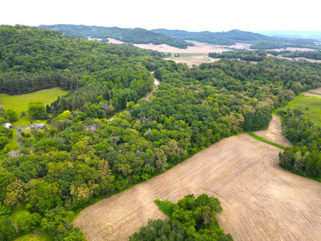 Image for 17± Acres of Prime Hunting Land with Trails, Oaks & Cabin Site Near Mondovi - Buffalo County, WI