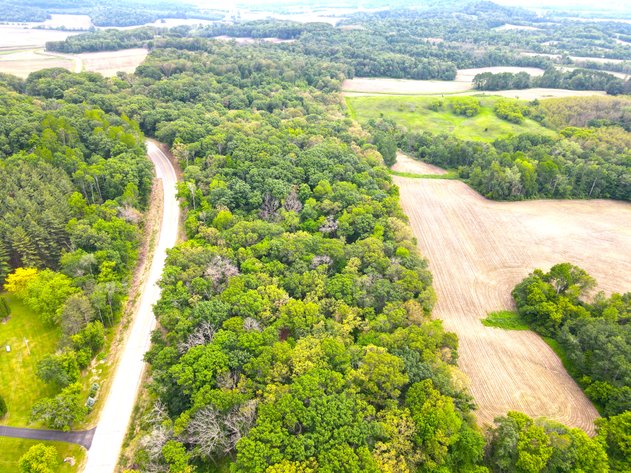 Image for 17± Acres of Prime Hunting Land with Trails, Oaks & Cabin Site Near Mondovi - Buffalo County, WI