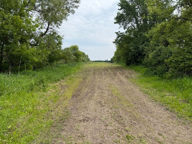Image for 5± Acre Buildable Site Near Omro - Winnebago County, WI