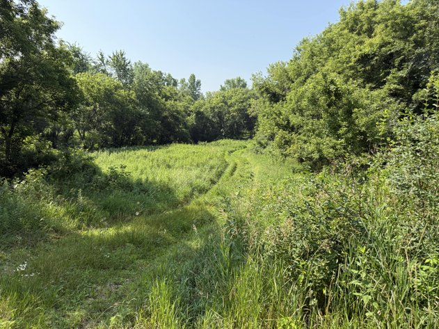 Image for Scenic 38.8± Acre Hunting & Farming Paradise Between Arcadia & Independence! - Trempealeau County