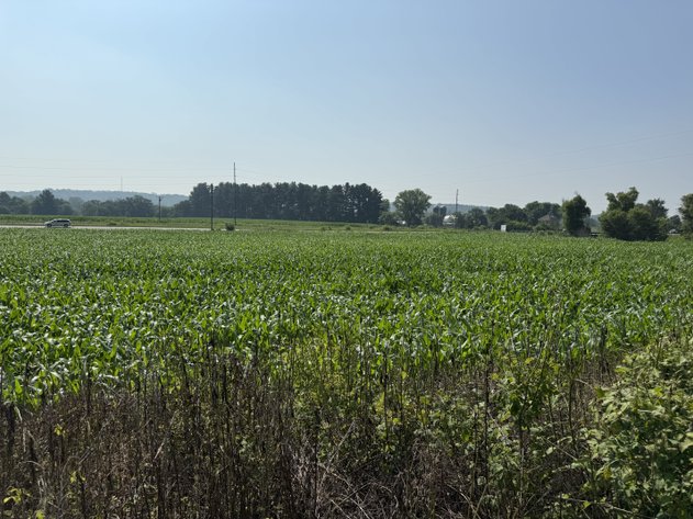 Image for Scenic 38.8± Acre Hunting & Farming Paradise Between Arcadia & Independence! - Trempealeau County