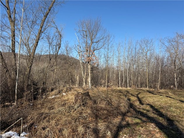 Image for Hard to Find 2.75± Acre Building Site with Proven Deer Activity Near Whitehall - Trempealeau County, WI