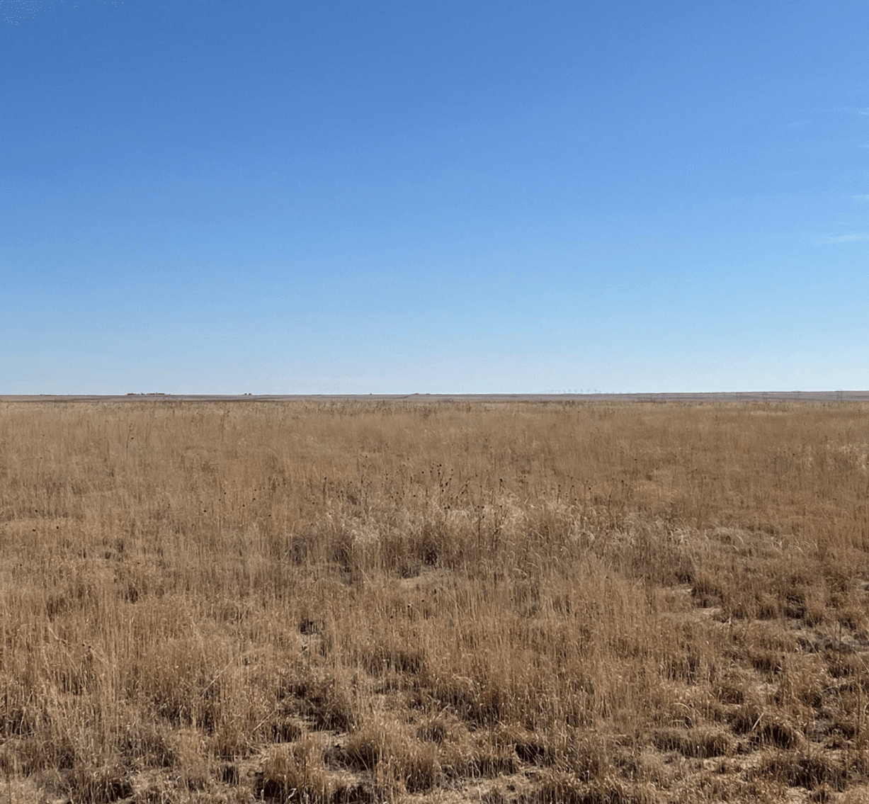 Image for KIOWA COUNTY, COLORADO - CRP (C4077)