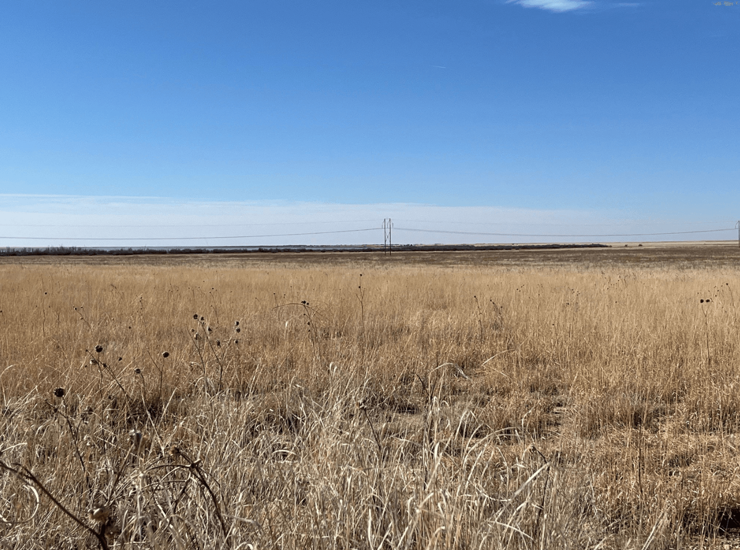 Image for KIOWA COUNTY, COLORADO - CRP (C4077)