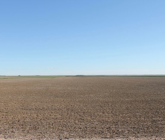 Image for LINCOLN COUNTY, CO - CROPLAND (C4081)