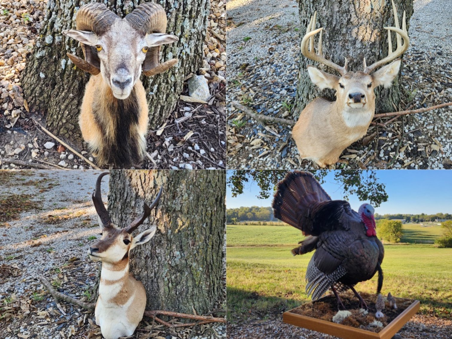 Image for Dan & Jan Byrd Estate