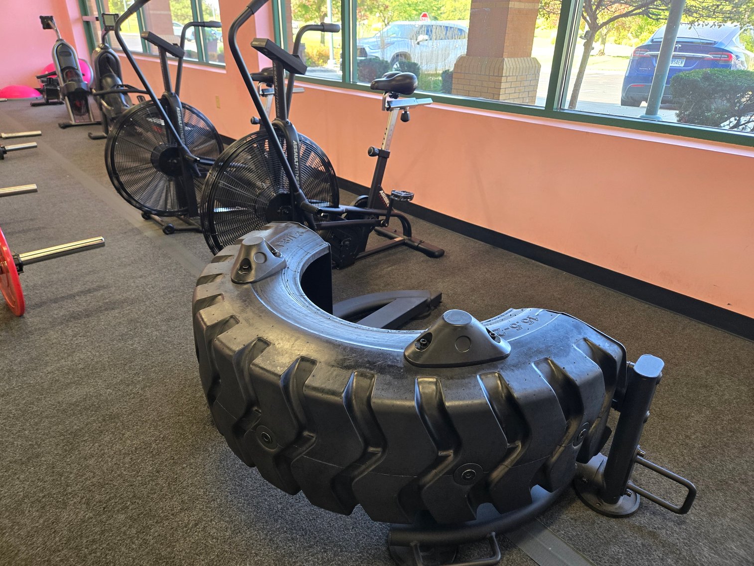 Image for Fitness Equipment Liquidation