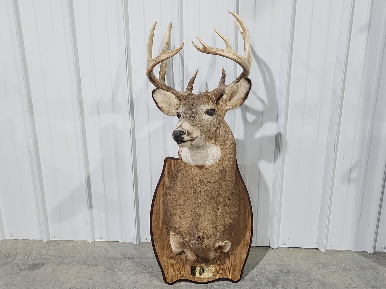 Image for Rick Holbrook Estate