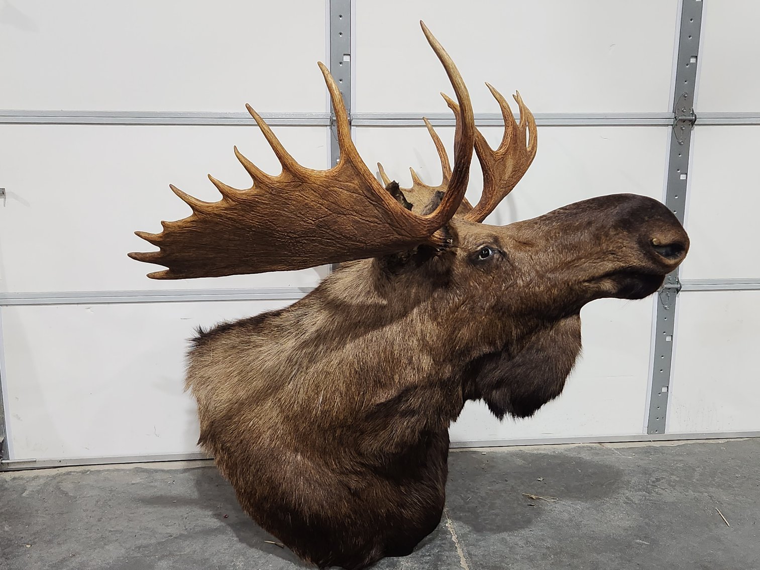 Image for Edith & Darrel Smith Estate