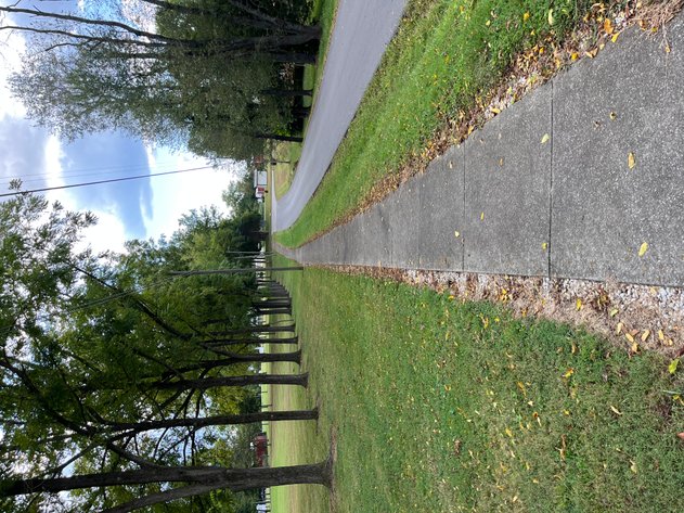 Image for SOLD ~ $231,120.00 ~ 4.97  Acres ~ Residential Building Lots ~ Smith Grove, Kentucky  {click here for details}