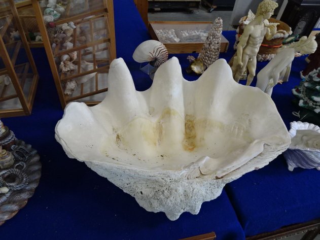 Image for Jun 20, 2024 Public Auction