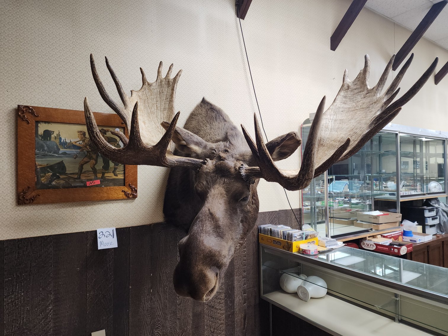 Image for 240815 August 15-20 Sporting, Gun, Coin & Taxidermy Auction