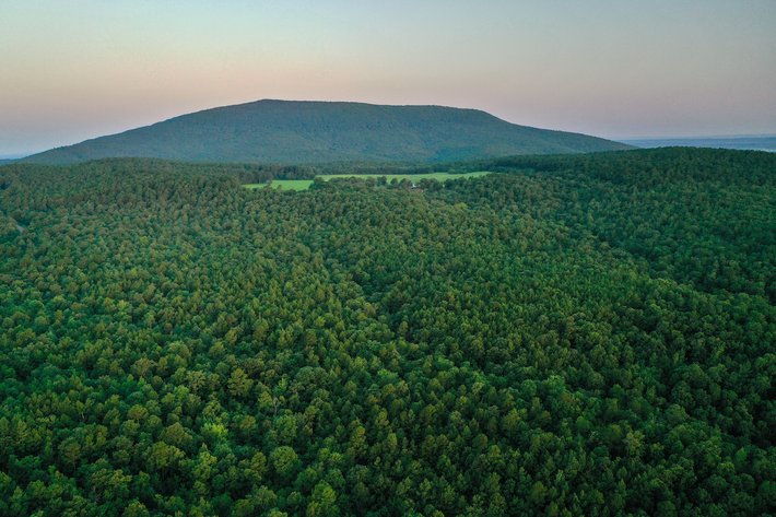 Image for Mena Timber Land | 4,636 Acres Auction