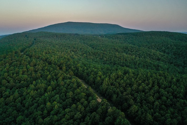 Image for Mena Timber Land | 4,636 Acres Auction