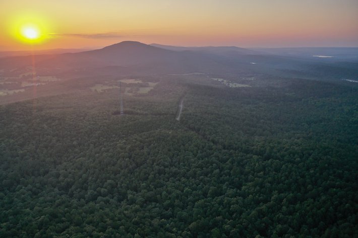 Image for Mena Timber Land | 4,636 Acres Auction