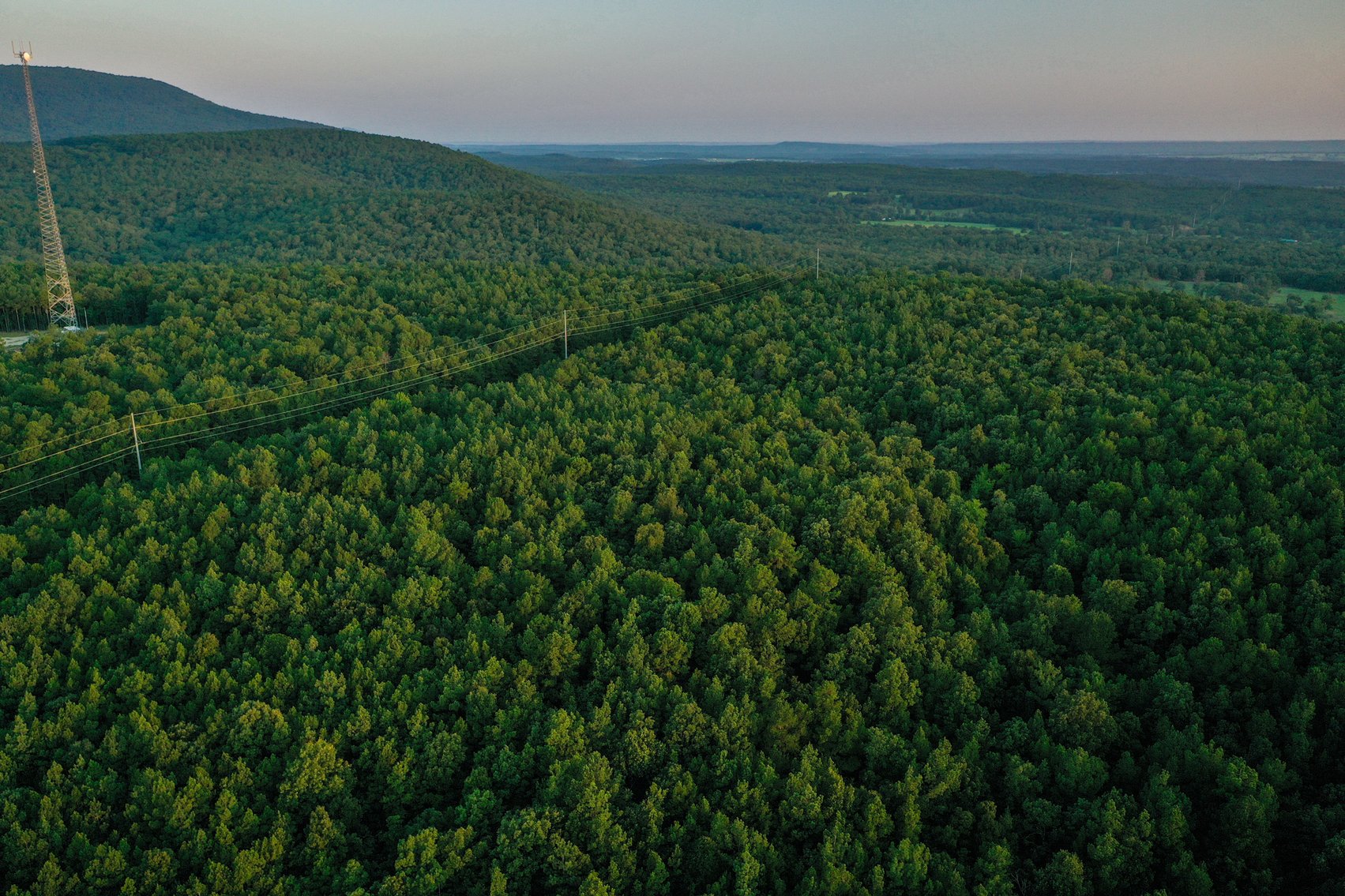 Image for Mena Timber Land | 4,636 Acres Auction