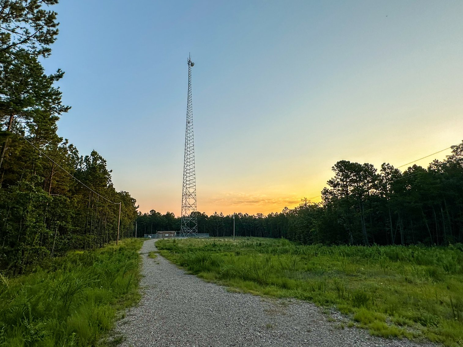 Image for Mena Timber Land | 4,636 Acres Auction